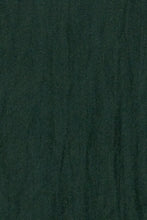Chan Luu Cashmere and Silk Scarf Wrap - Scarab BRH-SC-140